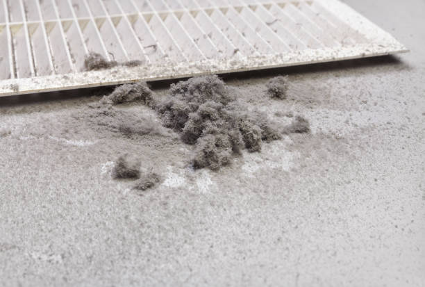 Best Air Duct Inspection  in Green Valley, AZ