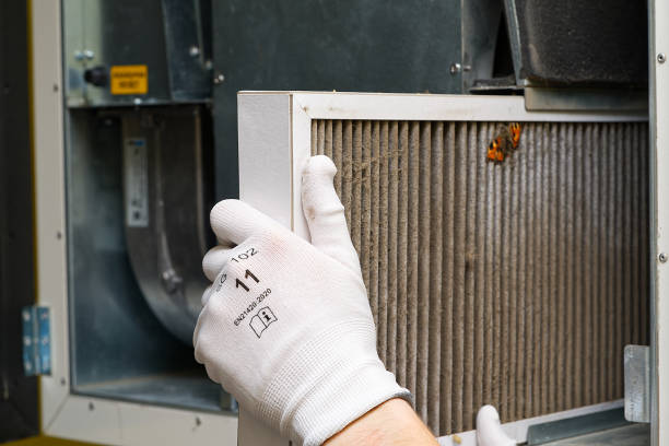 Best HVAC Maintenance and Cleaning  in Green Valley, AZ